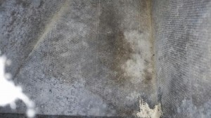 Mold in duct